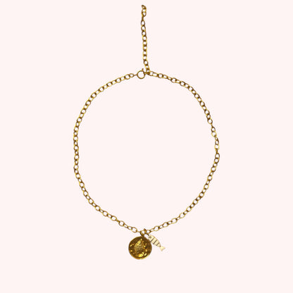 COLLIER OASIS