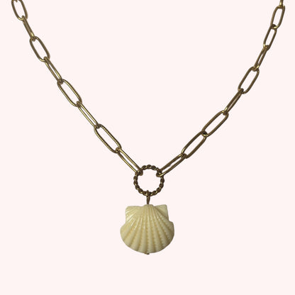 COLLIER SHELL ME MORE